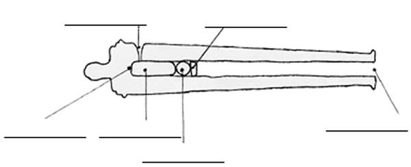 loaded-cannon